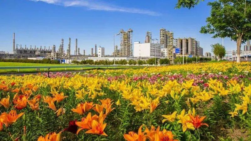 无机化工原料代理加盟，这些注意事项你了解吗？**